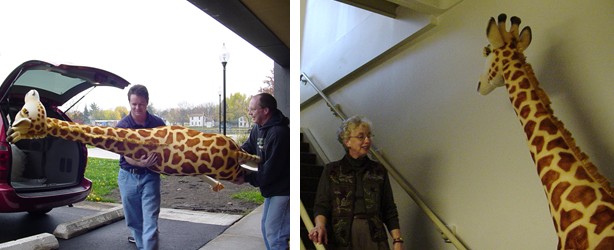 Photos of Jamila the Giraffe Arriving at Hedberg Public Library