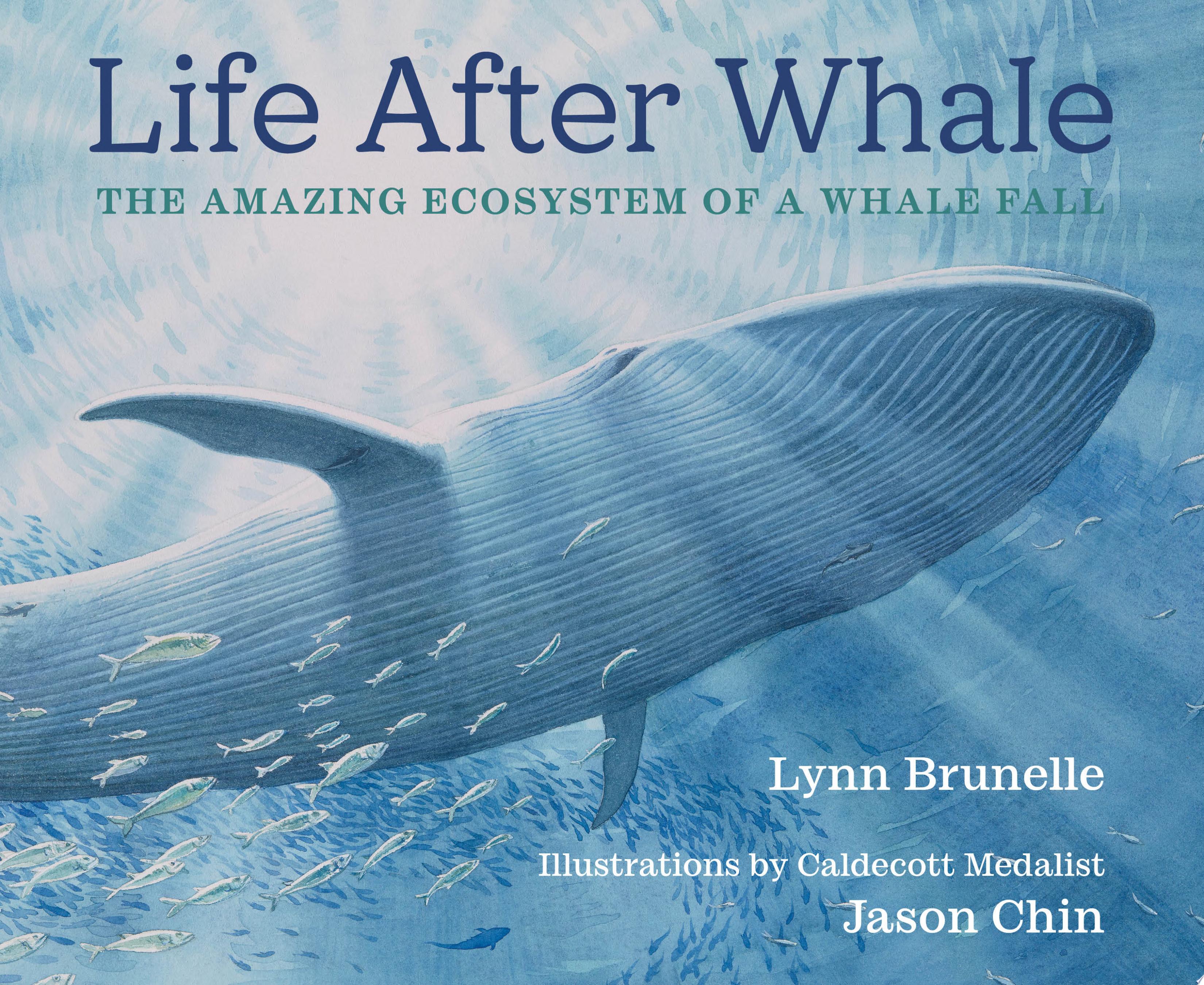 Image for "Life After Whale"