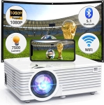 Portable Video Projector